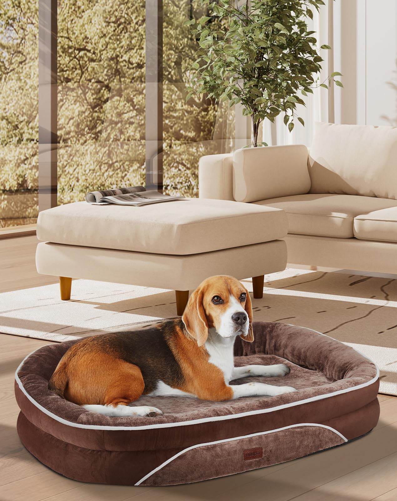 OhGeni Orthopedic Dog Bed for Large Dogs Dog Couch Design with Egg Foam Support Removable Machine Washable Plush Cover and Non-Slip Bottom with Four Sided Bolster Cushion (Brown)