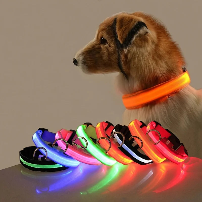 LED Glow Nylon Dog Leash & Collar