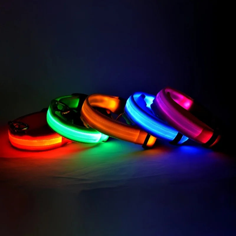 LED Glow Nylon Dog Leash & Collar