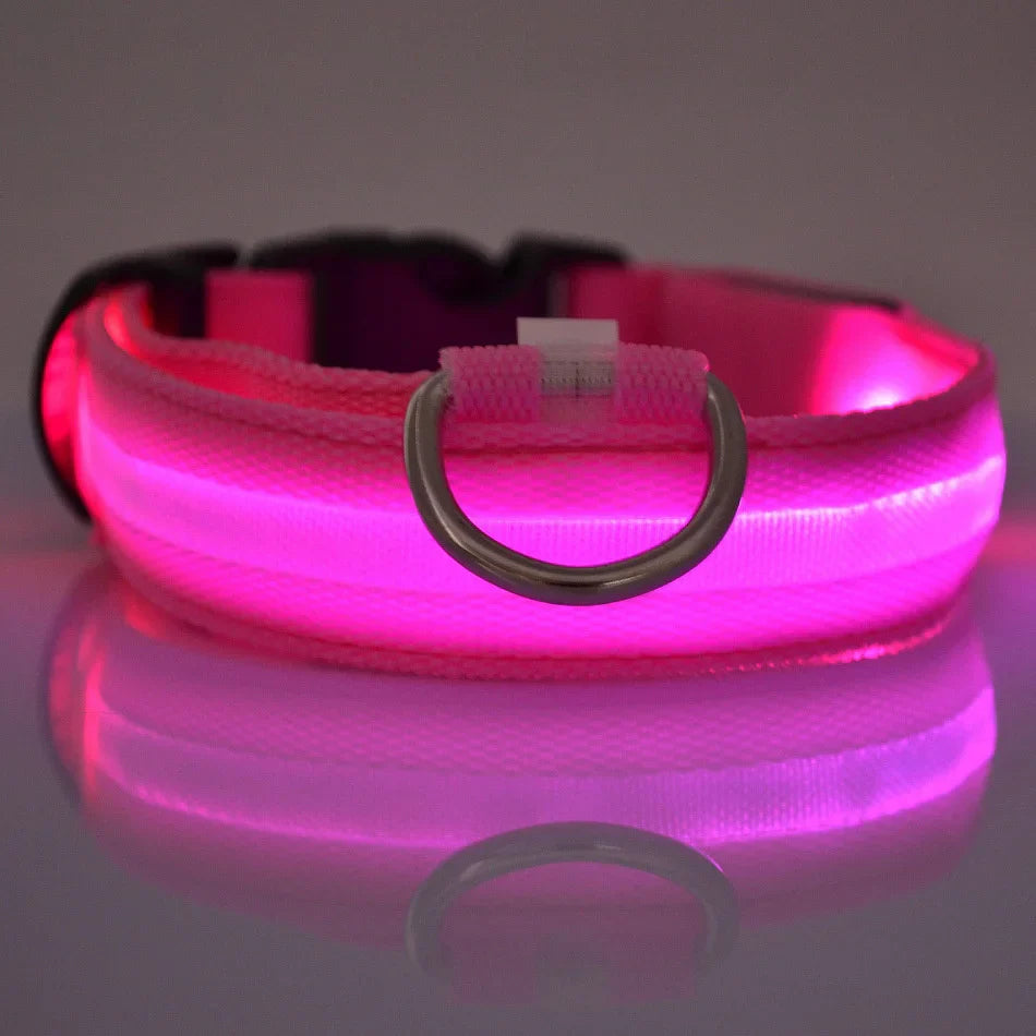 LED Glow Nylon Dog Leash & Collar