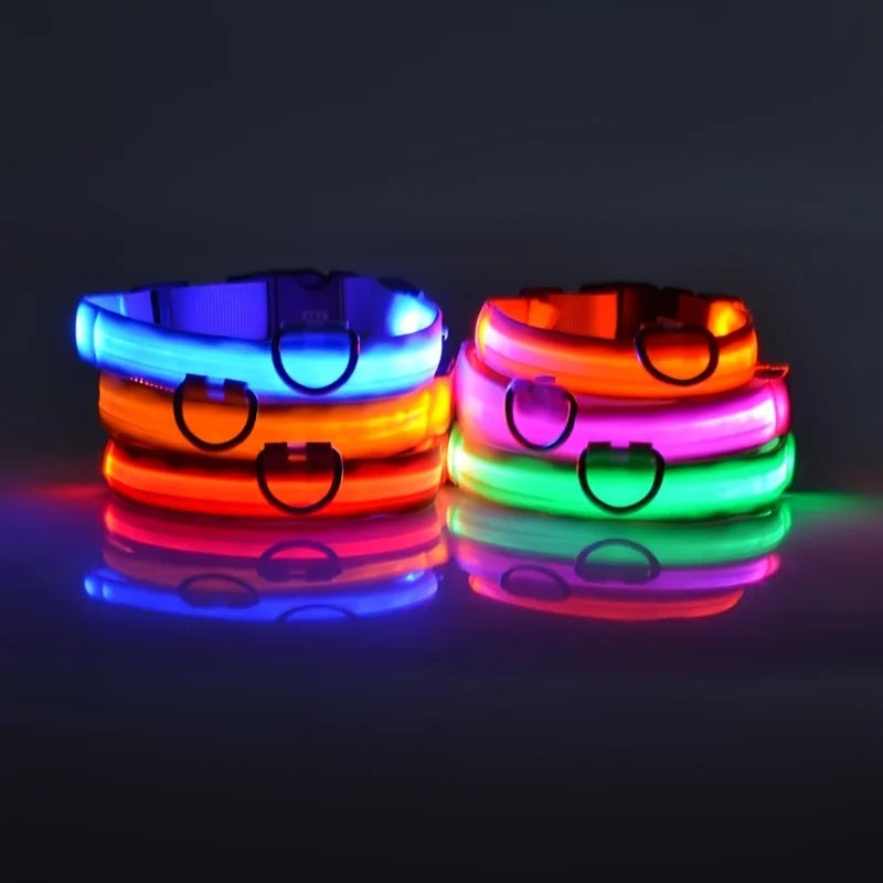 LED Glow Nylon Dog Leash & Collar