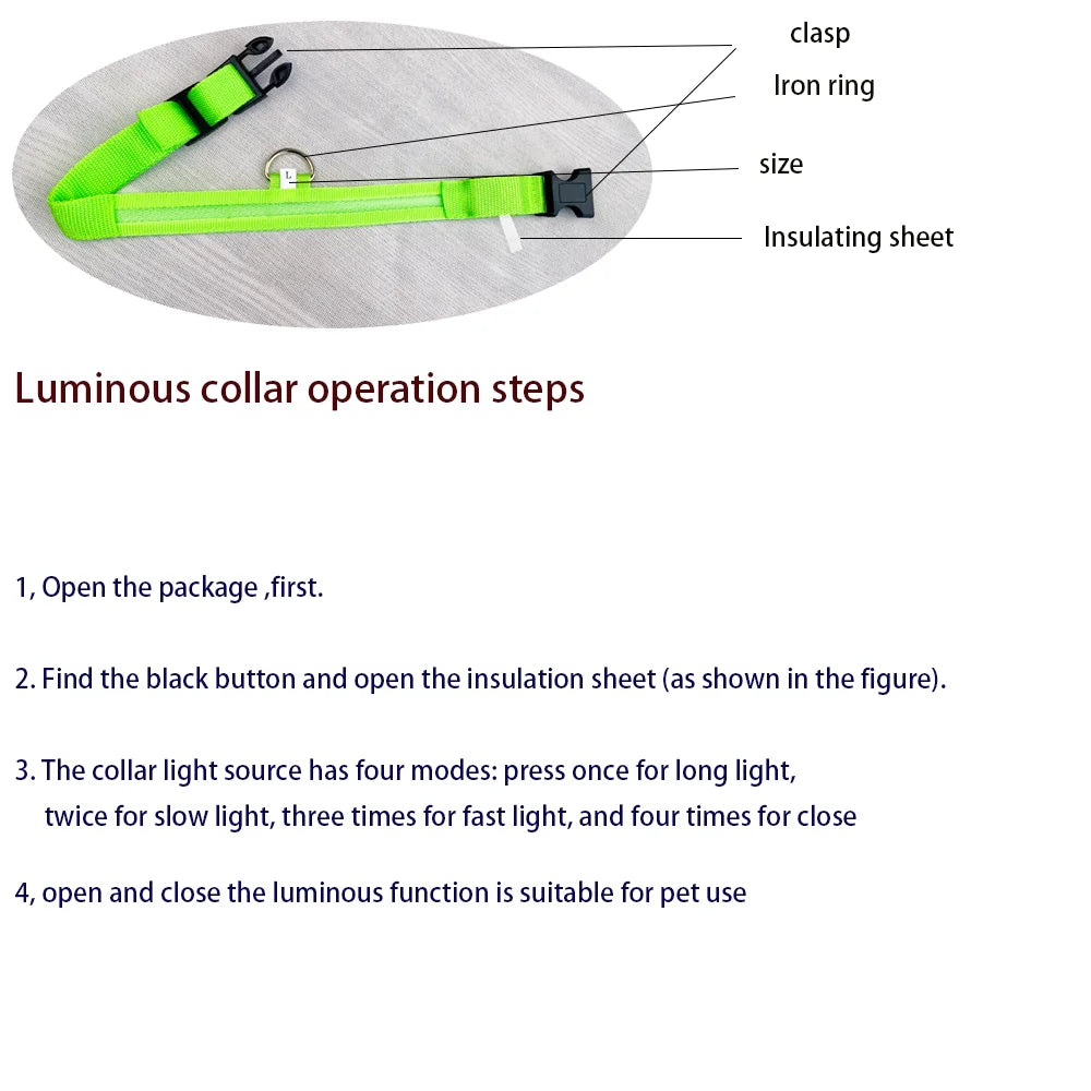 LED Glow Nylon Dog Leash & Collar