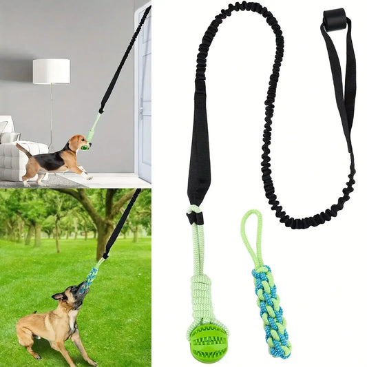 3Pcs Interactive Dog Toy Set