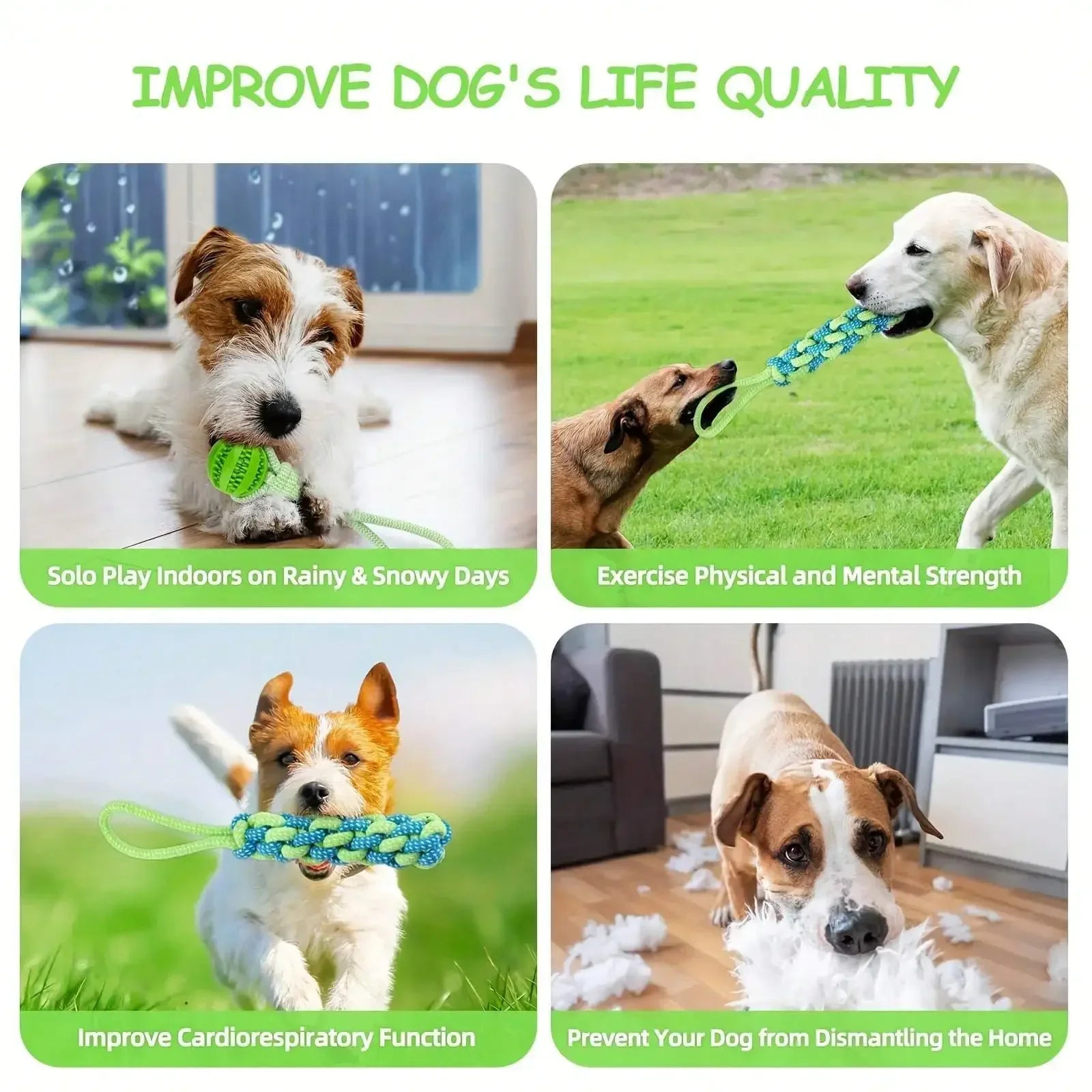3Pcs Interactive Dog Toy Set