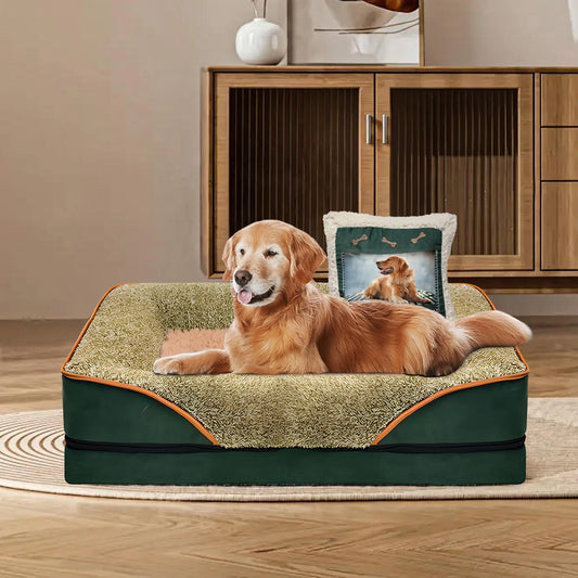 Praizen Memory Foam Dog Sofa – Orthopedic Comfort