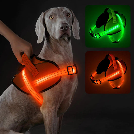 Praizen LED Dog Harness – No-Pull & Night Safety